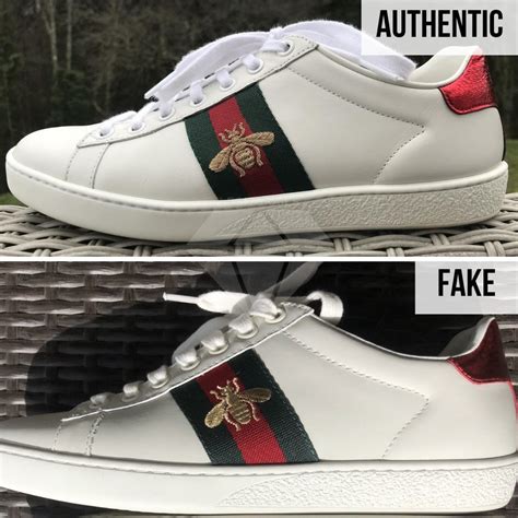 Gucci ace sneakers real